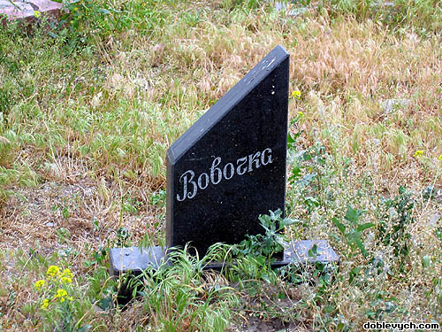 Київ, Лівобережна